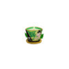 Bougie de massage thé vert 170ml 